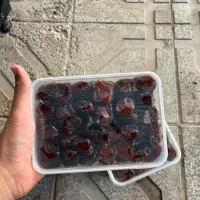 خرما مرداسنگ