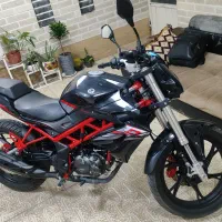 بنلی نیوفیس