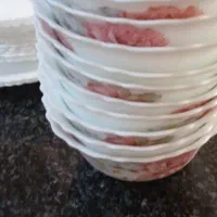 دوازده نفره ارکوپال