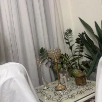 نظافتچی خانم‌