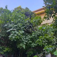 رهن-و-اجاره-منزل-ویلایی-دربست-فلکه-هنگ