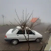 پراید 141 SE، مدل ۱۳۹۴