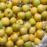 سیب دالاهو خوشمزه  استخوانی