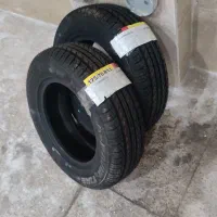 لاستیک کویر دولتی