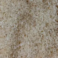 برنج کامفیروزی