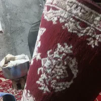 موکت|موکت|مشهد, عسگریه|دیوار