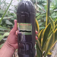 راهنمایی داوطلبانه گلهایی آپارتمانی وطبیعی|فعالیت داوطلبانه|کرمانشاه, |دیوار