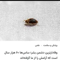 سمپاشی بر علیه آفات خانگی