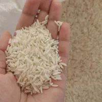 برنج طارم هاشمی خوش عطر