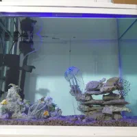 اکواریو شیشه خم شرکتی