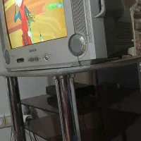 تلوزیون