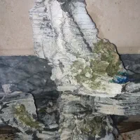 آکواریم و وسایل جانبی آکواریم|ماهی|اراک, |دیوار