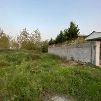 ۲۵۰متر زمین سنددار ساحلی