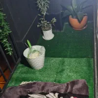 واحد 75 متری بسیار شیک|فروش آپارتمان|ملایر, |دیوار