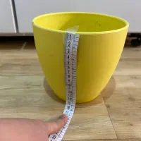 دو عدد گلدان|گل و گیاه طبیعی|بجنورد, |دیوار