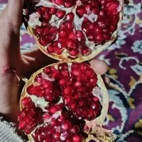 انارستان درجه یک بهترین انار ابدار