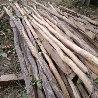 چوب چهارسو راش،حلب.درب قدیمی چوبی.پنجره اهنی|مصالح و تجهیزات ساختمان|بره‌سر, |دیوار
