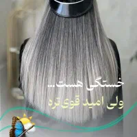 آموزش و خدمات تخصصی رنگ و لایت فاطمه جمشیدی