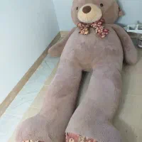 بزرگ ترین عروسک خرسی یزد