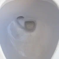 توالت فرنگی|لوازم سرویس بهداشتی|کارون, |دیوار