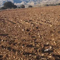 سینم-ز-مین-7-چشمه-و-اطراف-شهر