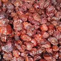 آلوچه وآلوخورشت