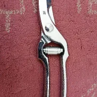 قیچی WMF|ابزارآلات|بجنورد, |دیوار