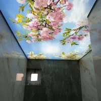 سقف کشسان (آسمان مجازی)