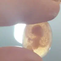 نگین عقیق مصور