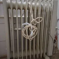 شوفاژ برقی دلونگی