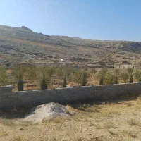 باغ بادام ثمری