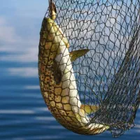 تور ماهیگیری پرتابی عمده و خرده