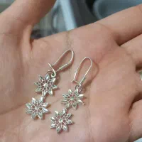 گوشواره نقره