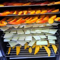 میوه و گوشت خشک کن صنعتی 10 الی 100 کیلویی شرکتی|سایر لوازم برقی|کرمانشاه, |دیوار