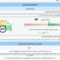 با رتبه اعتباری درآمد صد میلیونی داشته باشید