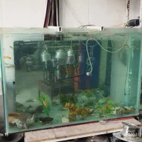 آکواریوم 10 میل