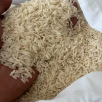برنج هاشمی و کاظمی و گوهر دَرام و خزر ( کف قیمت)|خوردنی و آشامیدنی|زنجان, |دیوار