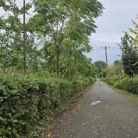 فروش زمین ۴۰۰۰ متری بنای قابل استفاده امتیازات کال|فروش زمین و ملک کلنگی|چابکسر, |دیوار