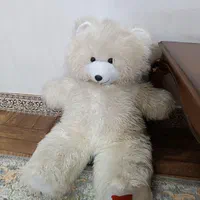شاسخین