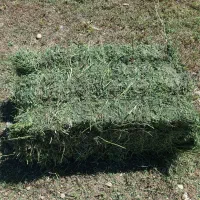 100بسته یونجه درجه یک خالص خالص