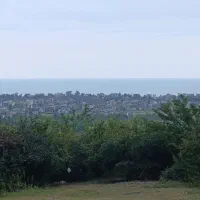 ال90مدل 95تمیز