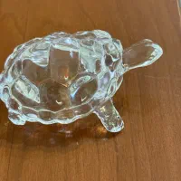 لاکپشت شیشه ای