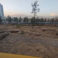 خرید انواع چوب|خدمات باغبانی و درختکاری|اقبالیه, |دیوار