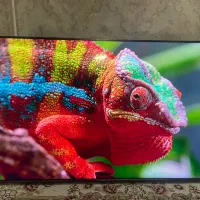 ۵۵ تی سی ال tcl استوک نمایشگاهی فول امکانات|تلویزیون و پروژکتور|تهران, ترمینال غرب|دیوار