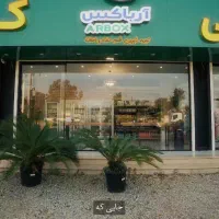 جذب نیرو  خانم برای ویزیتور و فروشندگی در فروشگاه