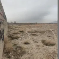 زمین گردخون