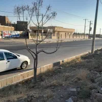 زمین بهاران ۳.   ۱۱۵ متری|فروش زمین و ملک کلنگی|سبزوار, غرب نیروگاه|دیوار