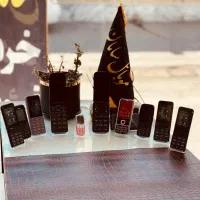 پخش تمامی گوشی هایه ساده (موبایل سامان)