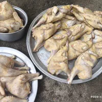 نیمچه مرغ و خروس آماده