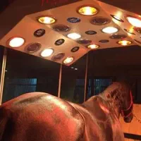 سولاریوم سولار اسب